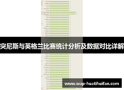 突尼斯与英格兰比赛统计分析及数据对比详解